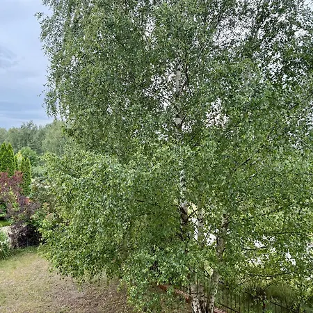 Lotta Autobus Na Targi Mtp, Darmowy Parking, Samodzielny Meldunek Poznań