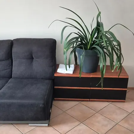 Lotta Autobus Na Targi Mtp, Darmowy Parking, Samodzielny Meldunek Pensjonat