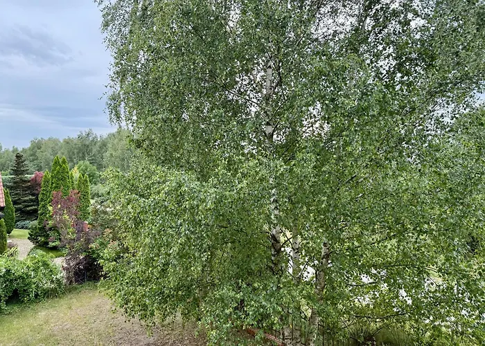 Lotta Autobus Na Targi Mtp, Darmowy Parking, Samodzielny Meldunek Познань