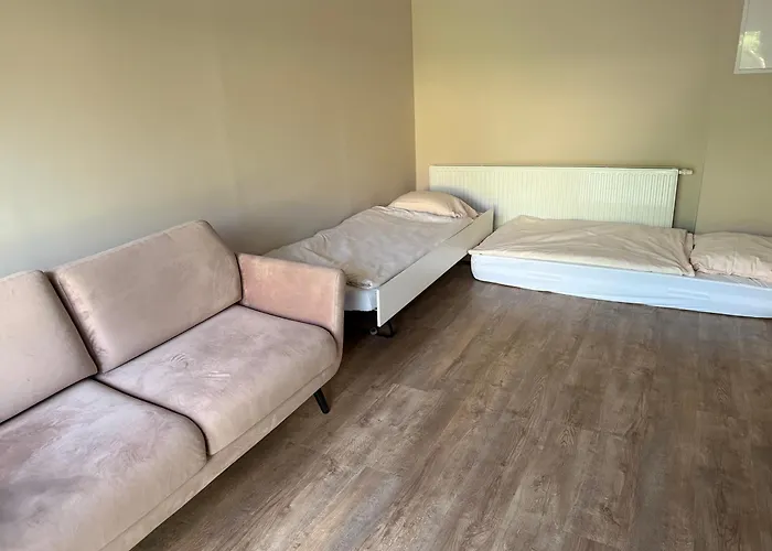 Lotta Autobus Na Targi Mtp, Darmowy Parking, Samodzielny Meldunek Познань