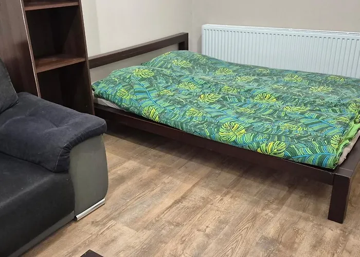 Pensjonat Lotta Autobus Na Targi Mtp, Darmowy Parking, Samodzielny Meldunek Poznań